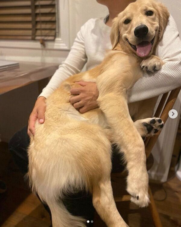 嬉しそうなテアちゃん