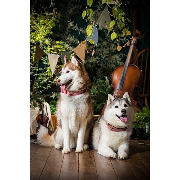 シャンテちゃんとシルビアちゃん