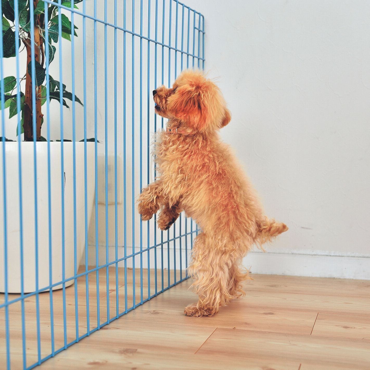 撮影／佐藤正之