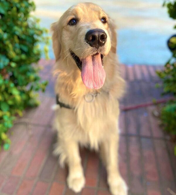 笑顔が可愛いまるくん