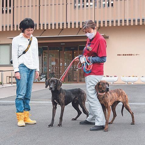 取材当日、センター課長の廣井さんが施設を案内。今後も犬丸さんとは協力関係に。向かって左の犬は、ViViくん（推定４才）