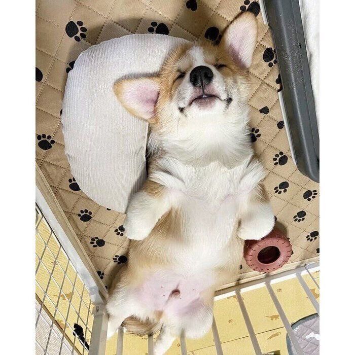 生後3カ月のころのたるとくん
