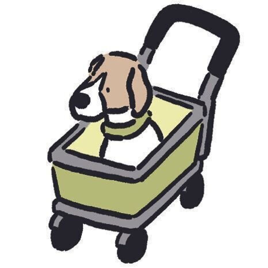 もし災害が起こったら 避難時にできると安心な 5つの犬のしつけ いぬのきもちweb Magazine もし災害が起こったら 避難時にできると安心な 5つの犬のしつけ いぬのきもちweb Magazine