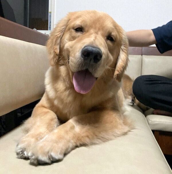 まったりするむぎくん