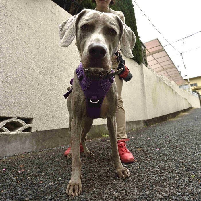 撮影／佐藤正之