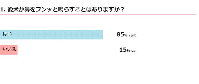 愛犬は鼻をフンッと鳴らす?
