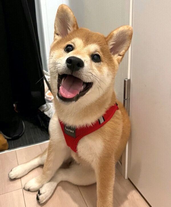 笑顔が可愛い唯ちゃん