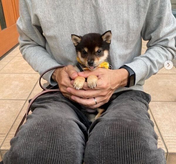 こたのすけくん