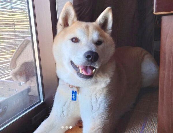 笑顔の蘭丸くん