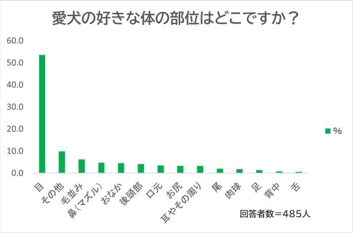 愛犬の好きな体の部位は?