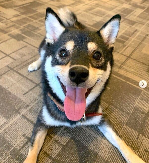 笑顔のぽんずちゃん