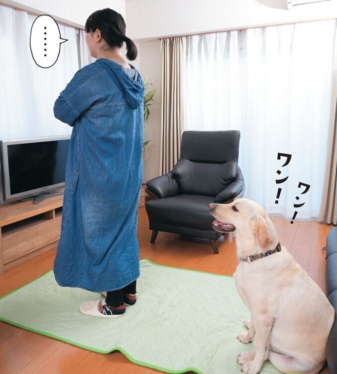 犬に背中を向ける飼い主