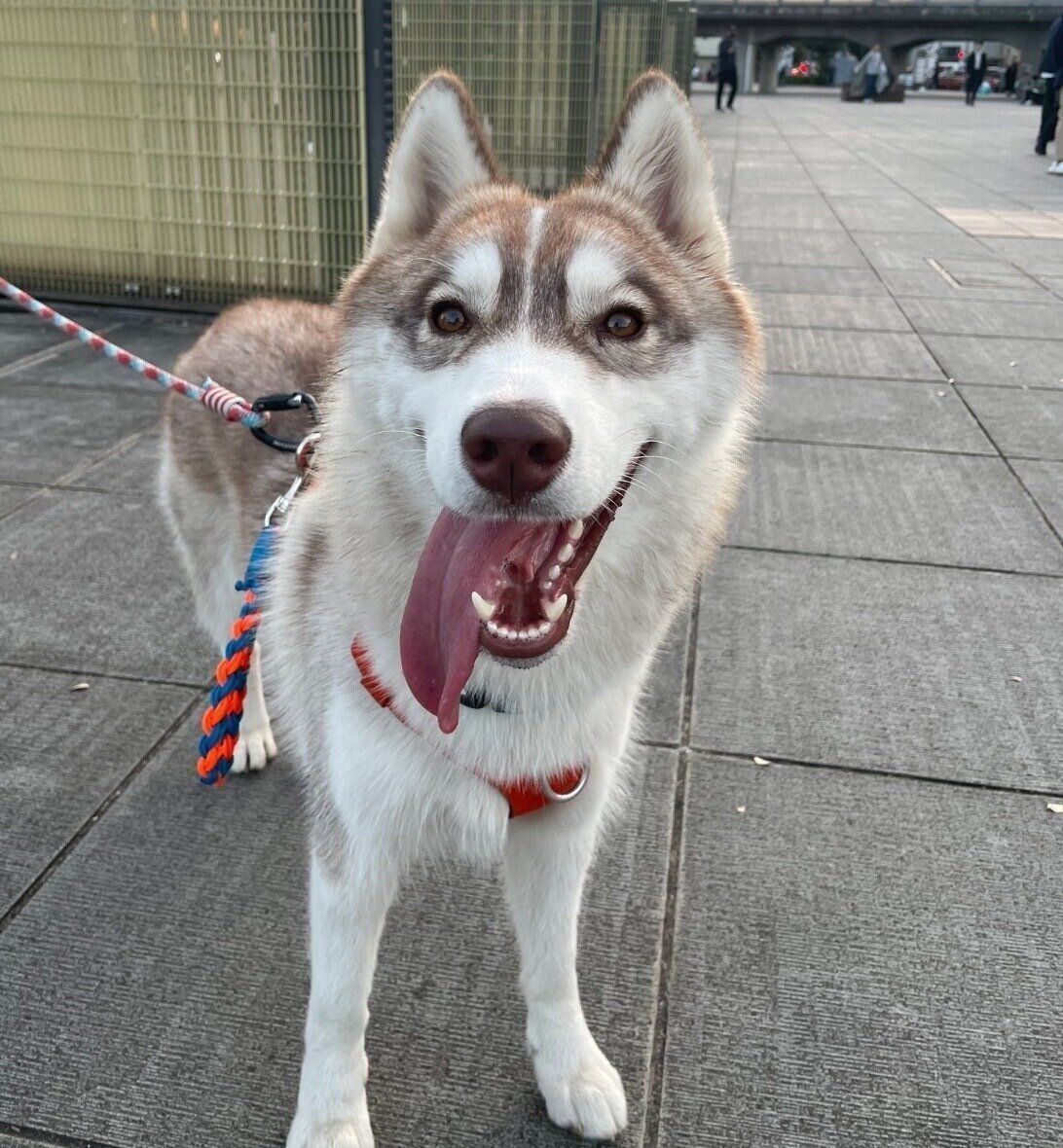 楽しそうなミルテちゃん