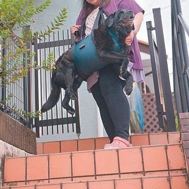 撮影／犬丸美絵