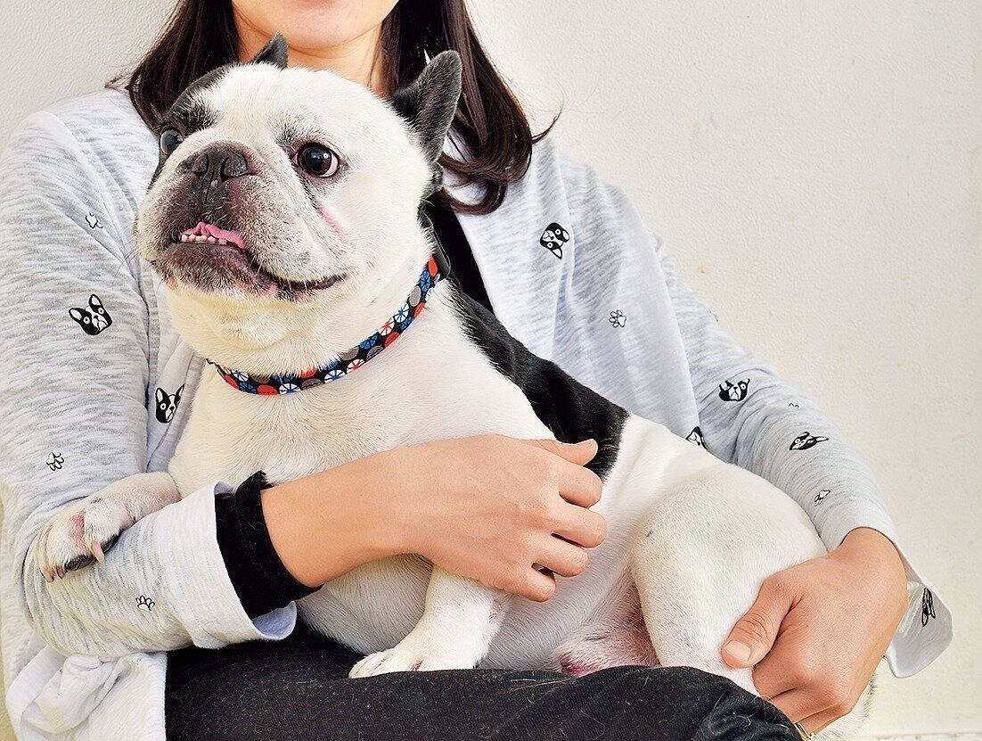 撮影／佐藤正之、尾﨑たまき