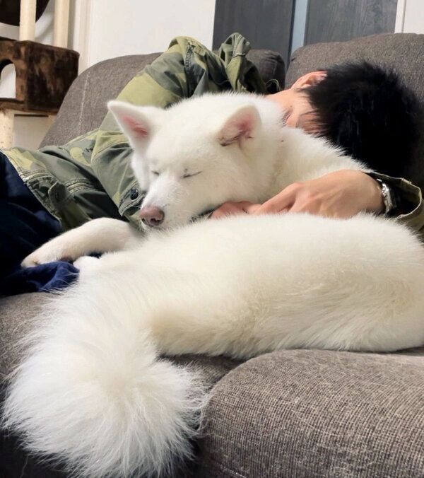 仲良く眠るユキちゃんとご主人