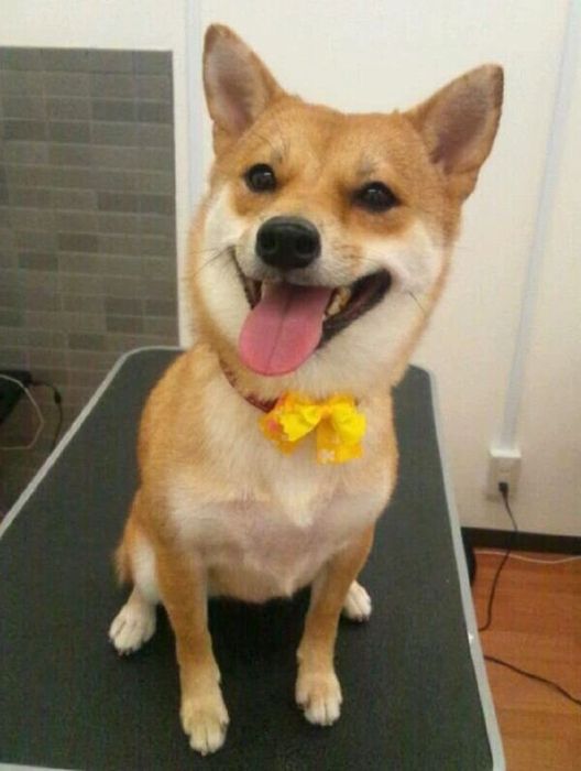 笑顔が可愛いリンちゃん