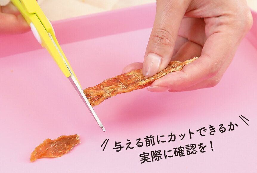 撮影／尾﨑たまき