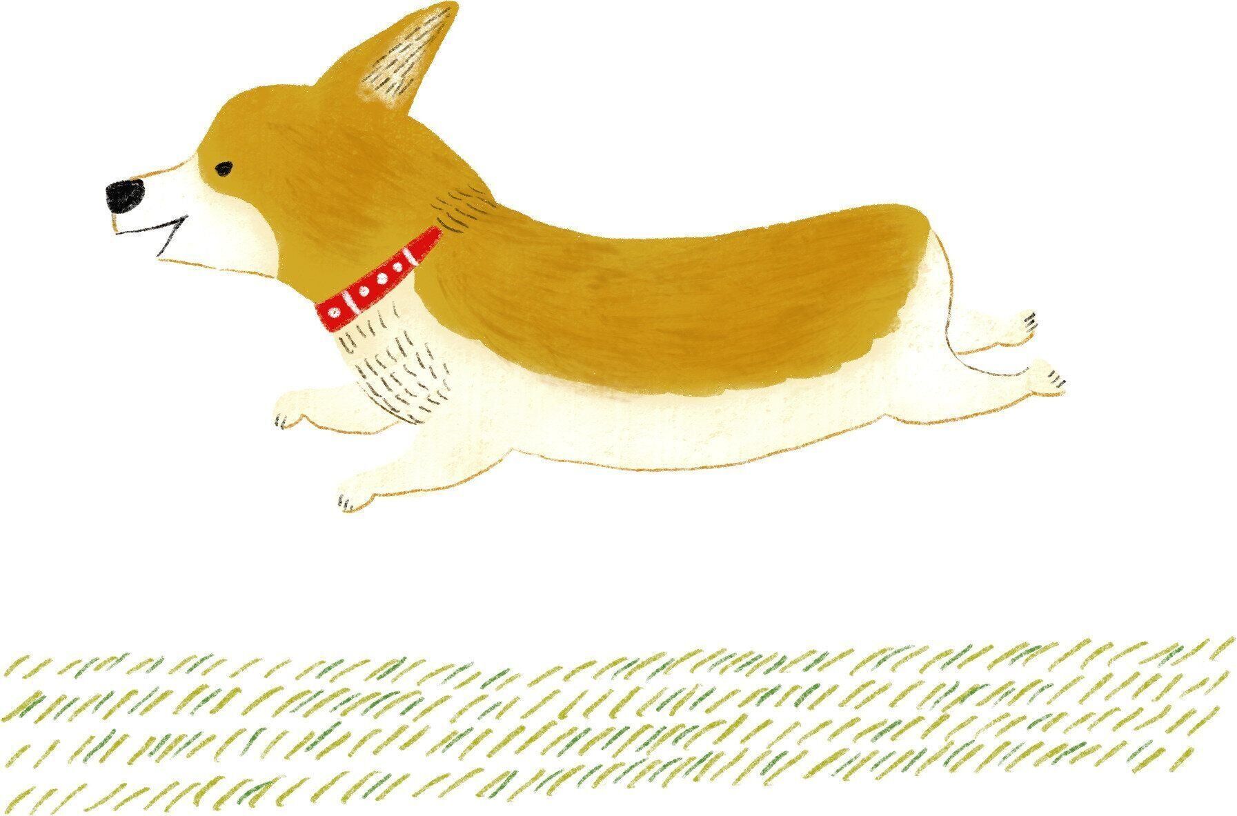 イラスト／macco