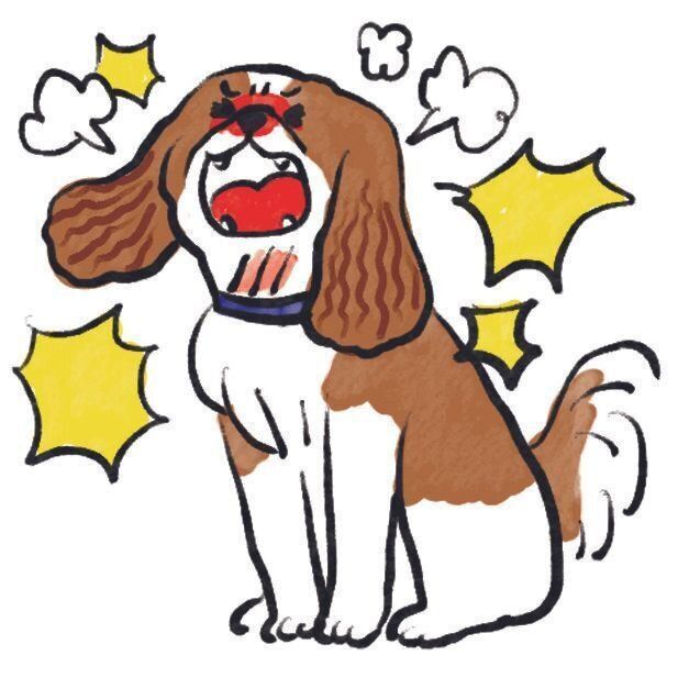 イラスト／SORRY.