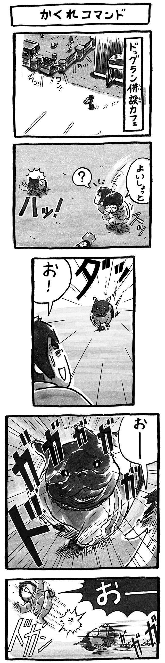 シーズー犬マンガてんぽshihtzu