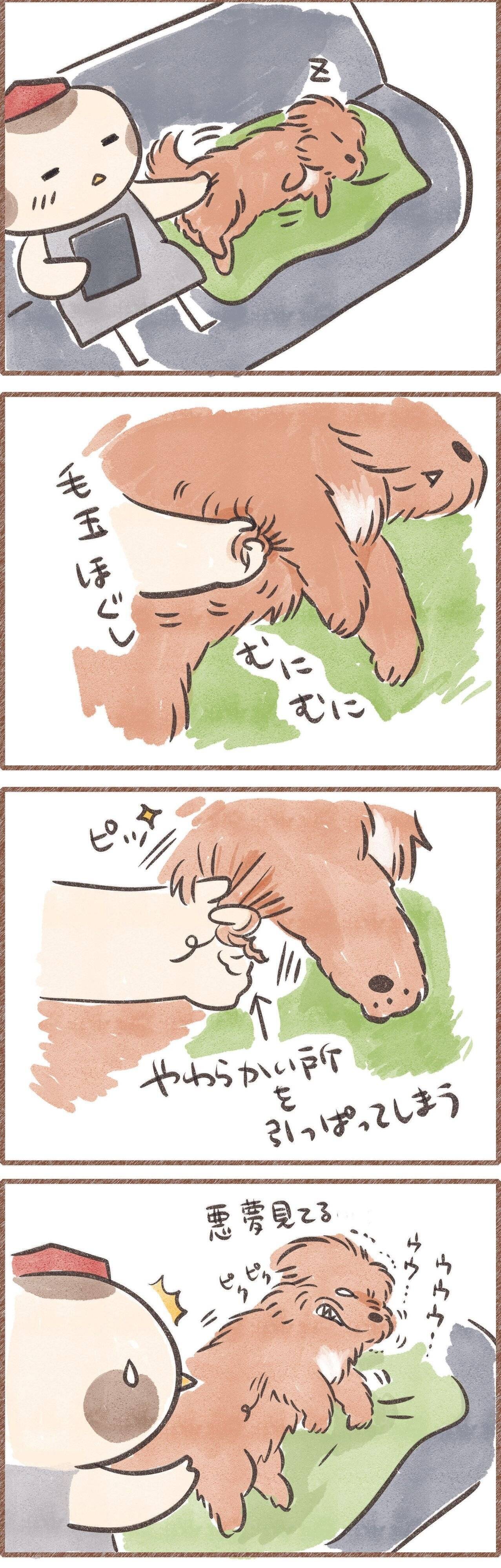 痛いせいで悪夢を見る犬