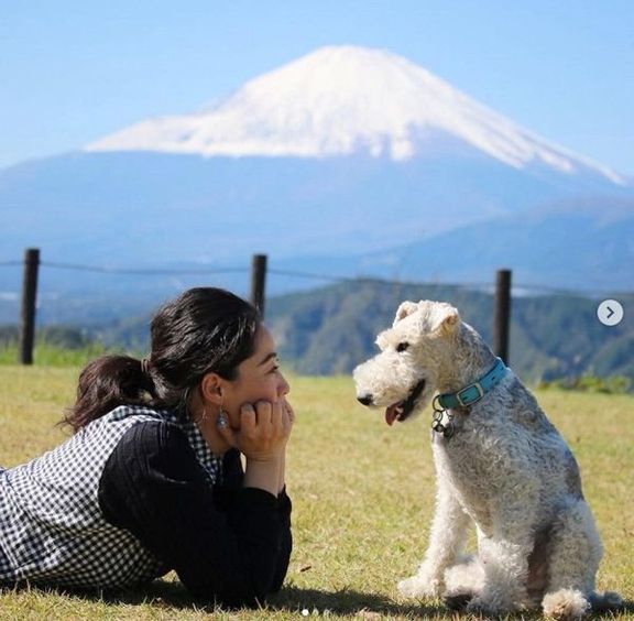 元保護犬・こっぺぱんちゃん