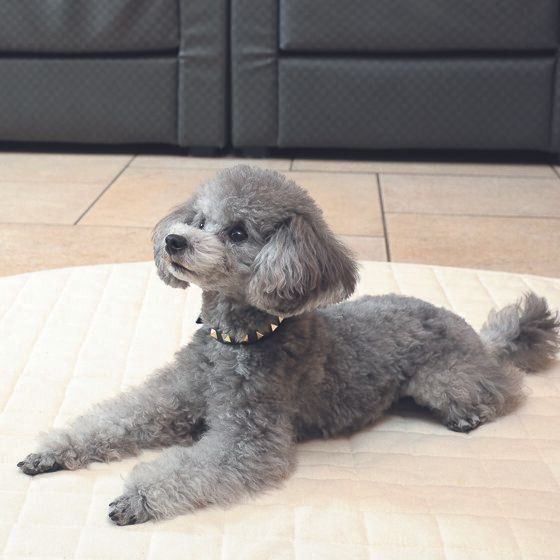 撮影／尾﨑たまき