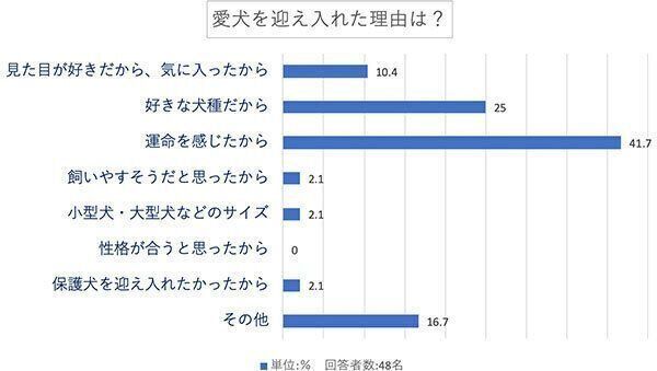 愛犬を迎え入れた理由は?
