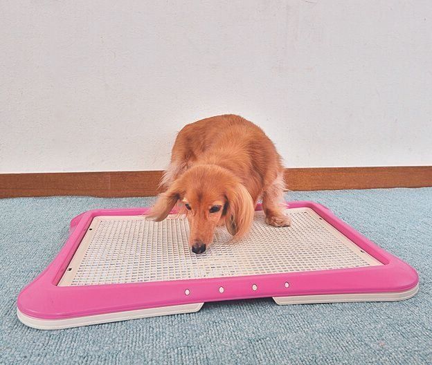 メッシュカバーで解決！