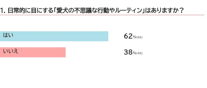 愛犬がする不思議な行動はある？