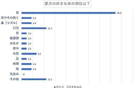 愛犬の好きな体の部位は?