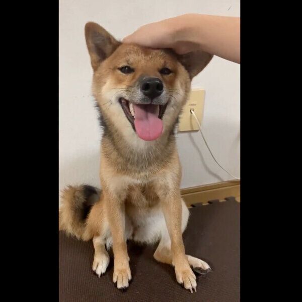 笑顔が可愛いお嬢ちゃん