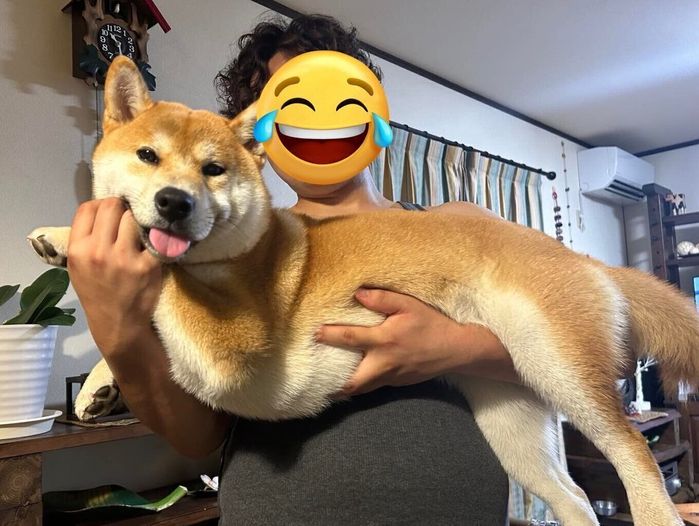 4カ月間でこんなに成長!