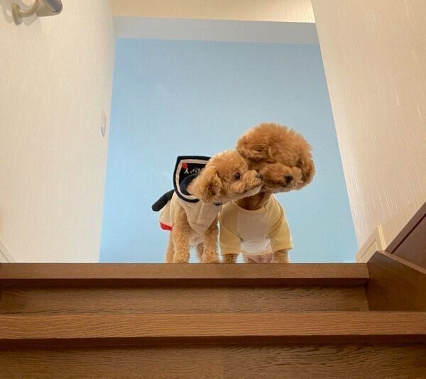 仲良しなれおくん、らてちゃん