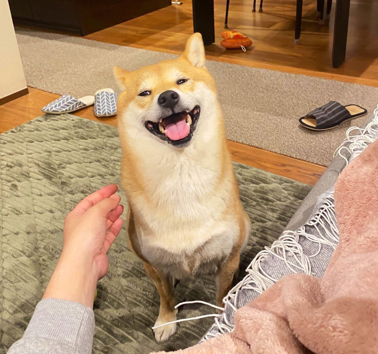 いい表情をするソラくん