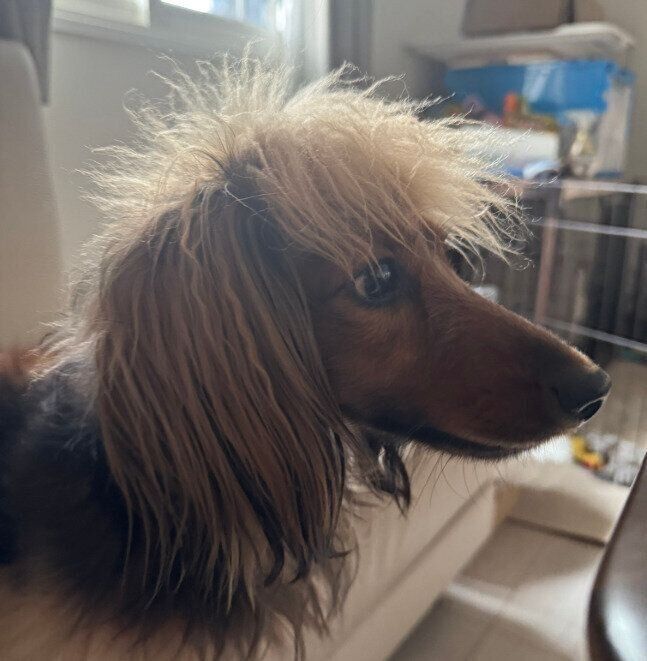 横顔もカッコイイおこげくん