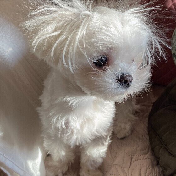 静電気発生中！