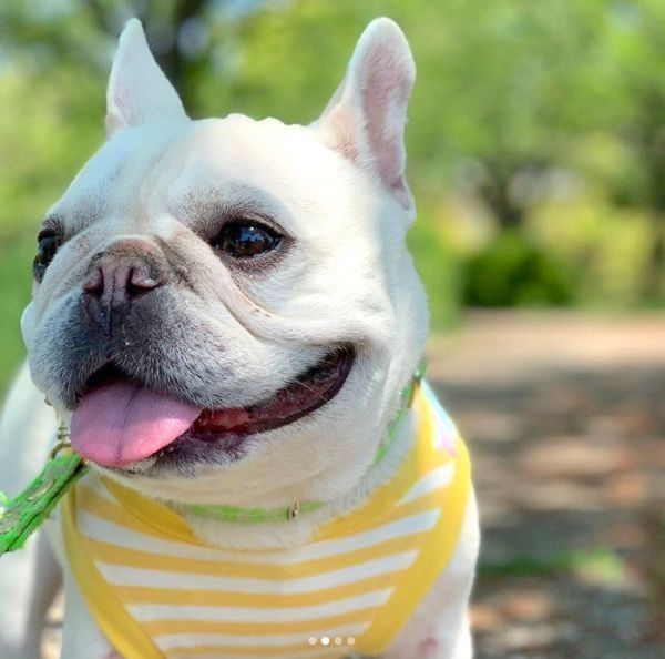 笑顔のマシューくん