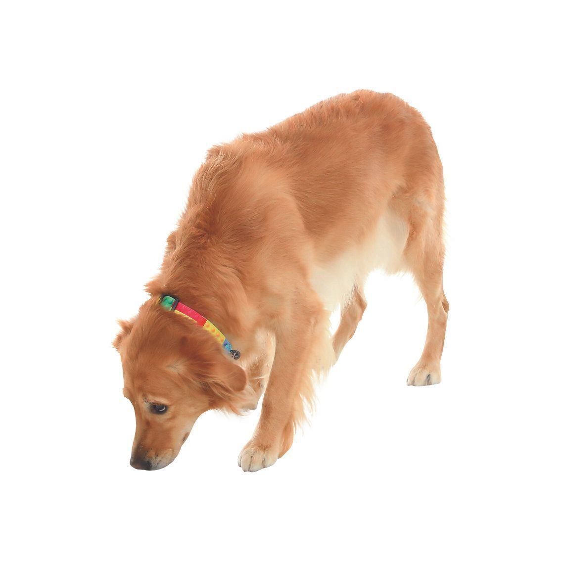 床のニオイをかぐのはストレスサインかも