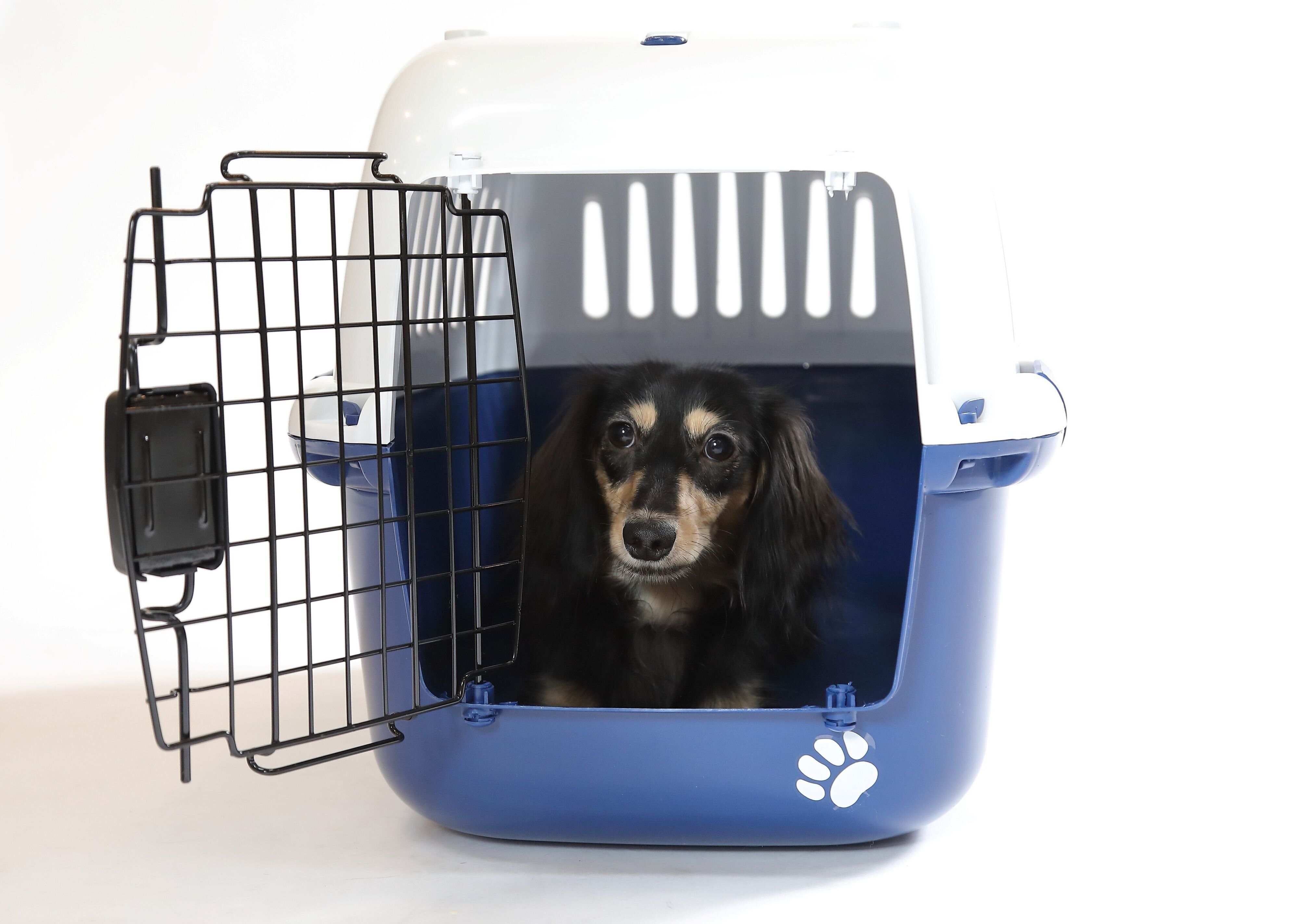 写真／尾﨑たまき