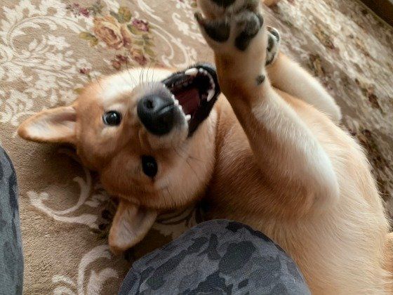 お店の前につながないでね♪