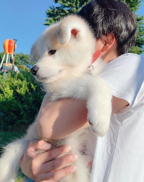 抱っこされるしおんくん