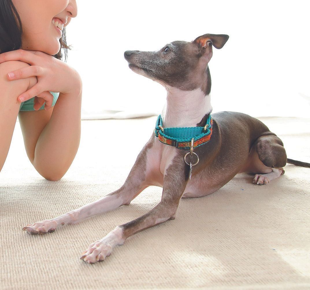 撮影／尾﨑たまき