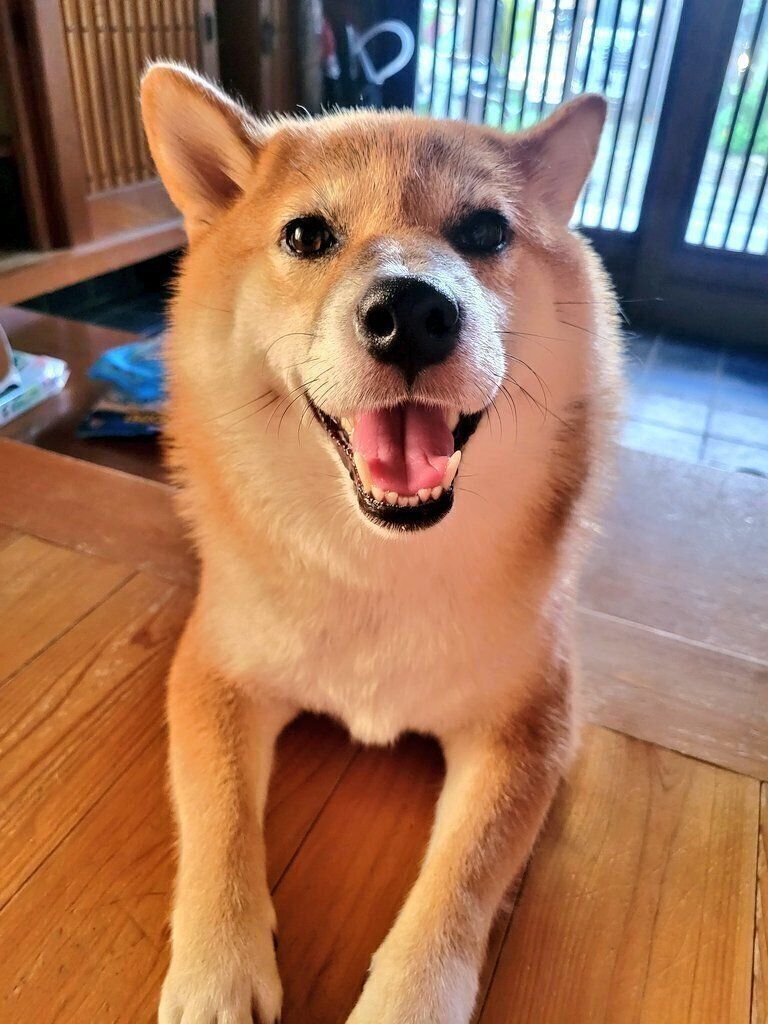 3才頃のりんちゃん