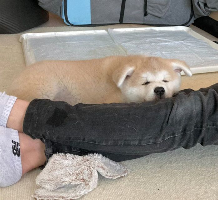 起きているけれどまだ目が開いていない幸ちゃん