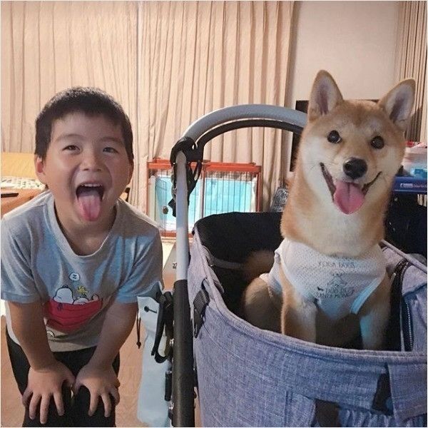 真似っこされるワンコ