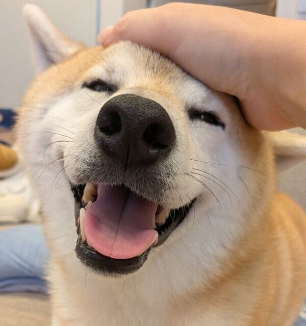 満面の笑みのふくすけくん