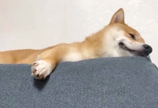 ニヤニヤしながら眠くなるうにくん