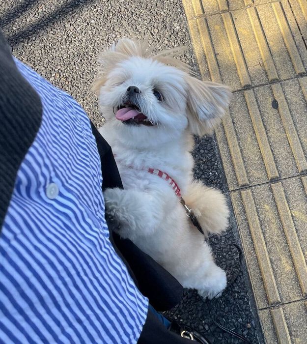 抱っこをせがむミカンちゃん